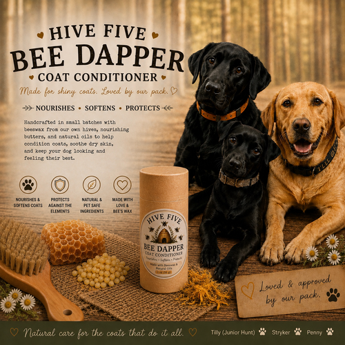 Bee Dapper Coat Conditioner