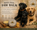 Hive Five Bee Nimble Paw Balm